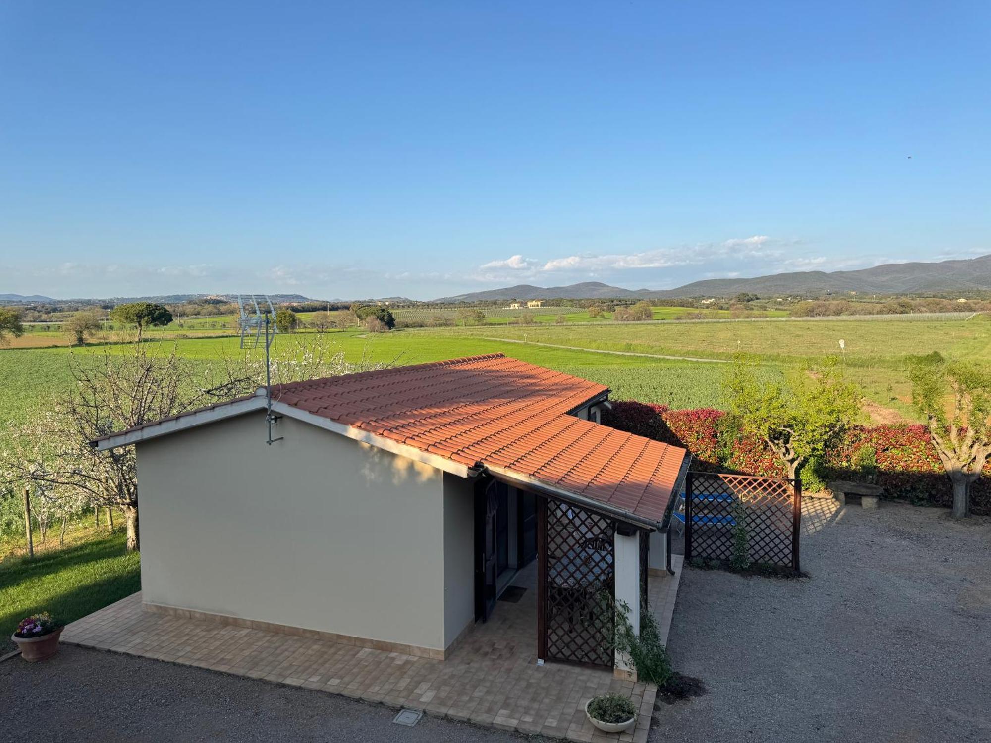 Agriturismo I Debbi Bibbona Exterior foto
